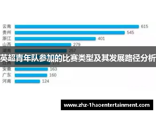 英超青年队参加的比赛类型及其发展路径分析 英超青年队参加的比赛类型及其发展路径分析