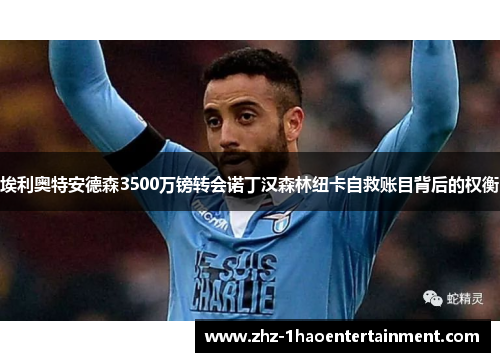 埃利奥特安德森3500万镑转会诺丁汉森林纽卡自救账目背后的权衡